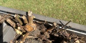 Commercial Gutter Cleaning Greenville