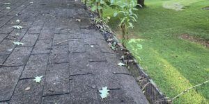 Gutter Screen Removal & Cleaning Greenville SC