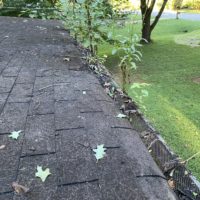 plants-in-gutters-with-screens
